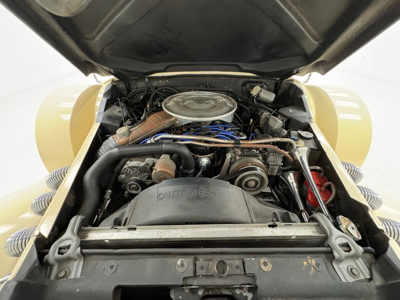 Zimmer-Golden-spirit-1981-Pastel-Chamois-Saddle-39