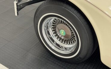 Zimmer-Golden-spirit-1981-Pastel-Chamois-Saddle-4