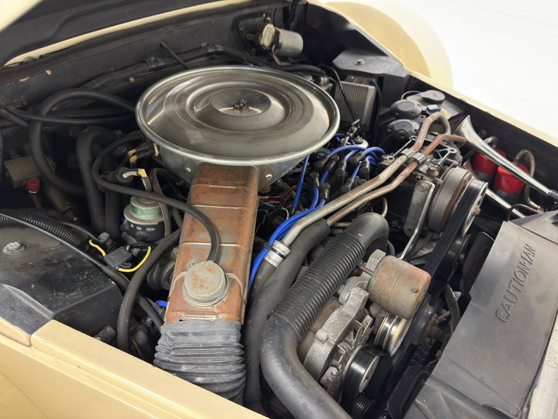 Zimmer-Golden-spirit-1981-Pastel-Chamois-Saddle-40