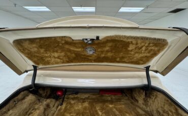 Zimmer-Golden-spirit-1981-Pastel-Chamois-Saddle-41