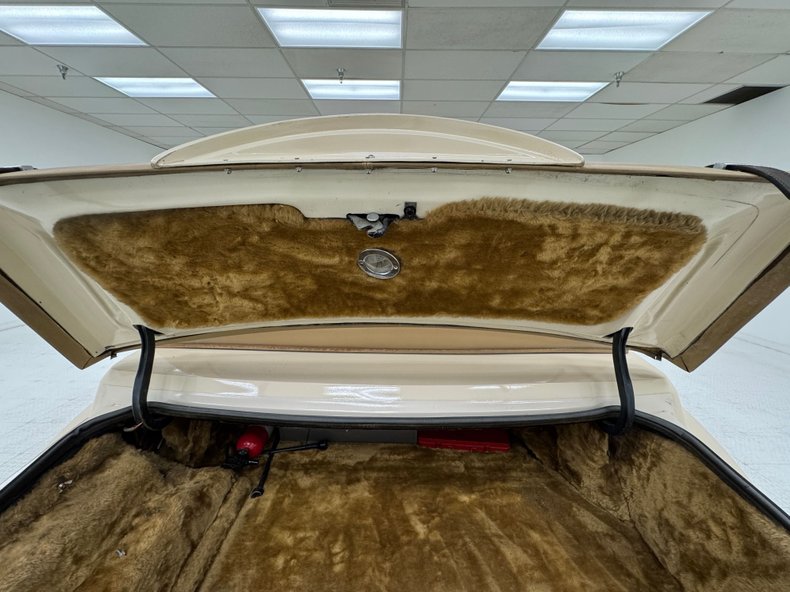 Zimmer-Golden-spirit-1981-Pastel-Chamois-Saddle-41