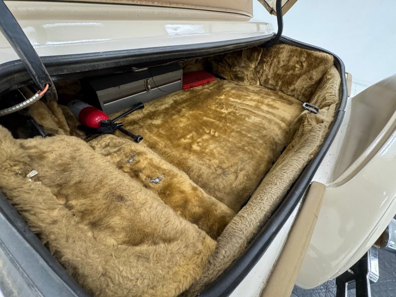 Zimmer-Golden-spirit-1981-Pastel-Chamois-Saddle-42