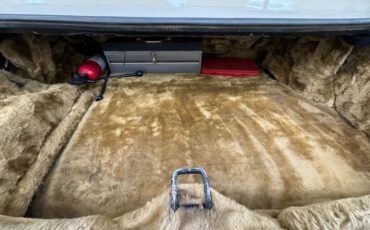 Zimmer-Golden-spirit-1981-Pastel-Chamois-Saddle-43