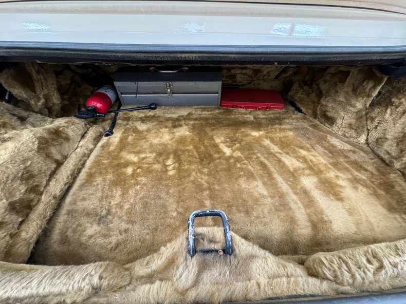 Zimmer-Golden-spirit-1981-Pastel-Chamois-Saddle-43