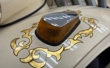 Zimmer-Golden-spirit-1981-Pastel-Chamois-Saddle-47