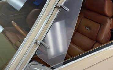 Zimmer-Golden-spirit-1981-Pastel-Chamois-Saddle-48