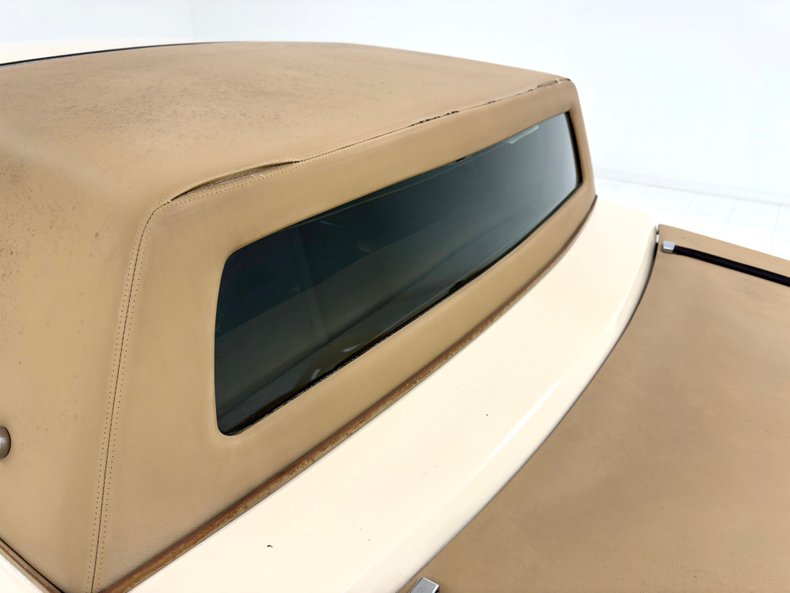 Zimmer-Golden-spirit-1981-Pastel-Chamois-Saddle-49