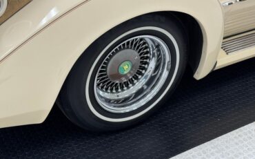 Zimmer-Golden-spirit-1981-Pastel-Chamois-Saddle-7