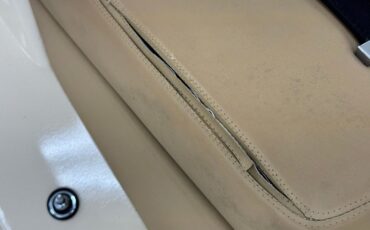 Zimmer-Golden-spirit-1981-Pastel-Chamois-Saddle-8