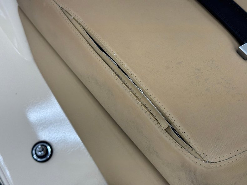 Zimmer-Golden-spirit-1981-Pastel-Chamois-Saddle-8