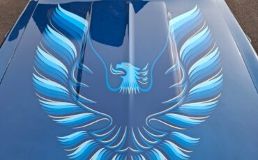 goodtimers-Pontiac-Trans-Am-1979-2