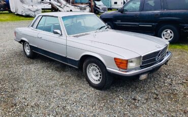 450-slc-1974-silver-5