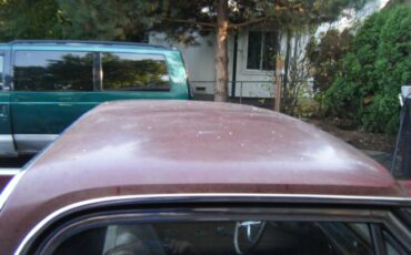 66-el-camino-1966-brown-4