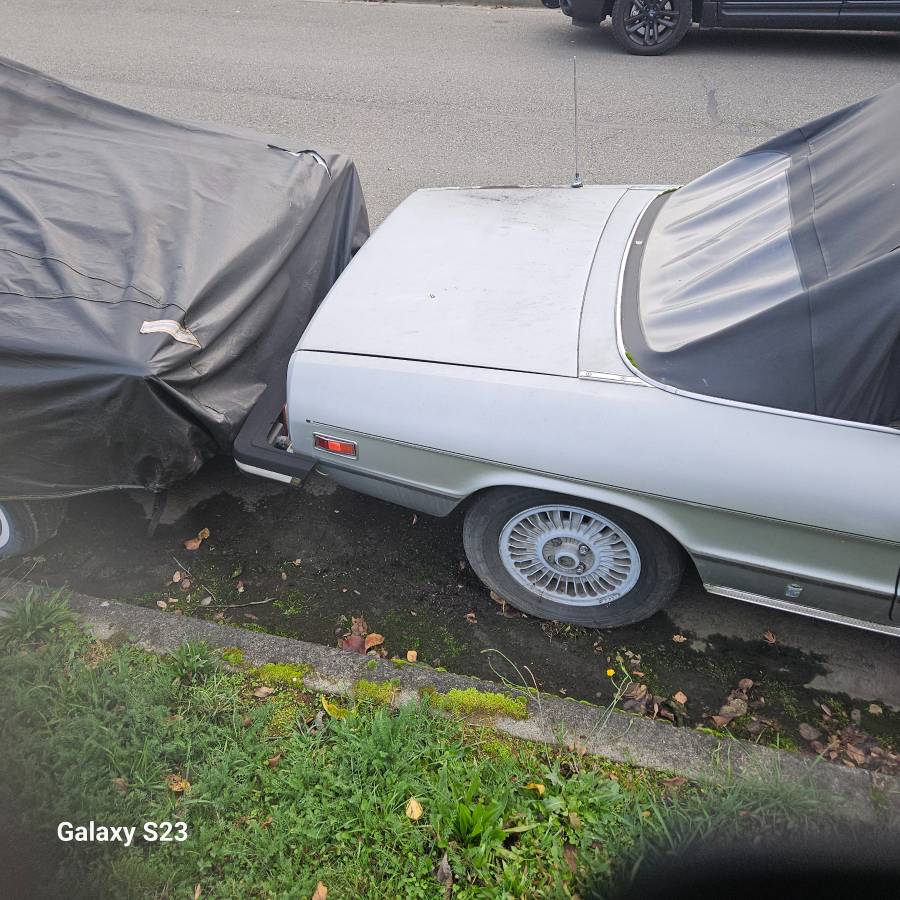 77-alfa-romeo-spider-1977-silver-1