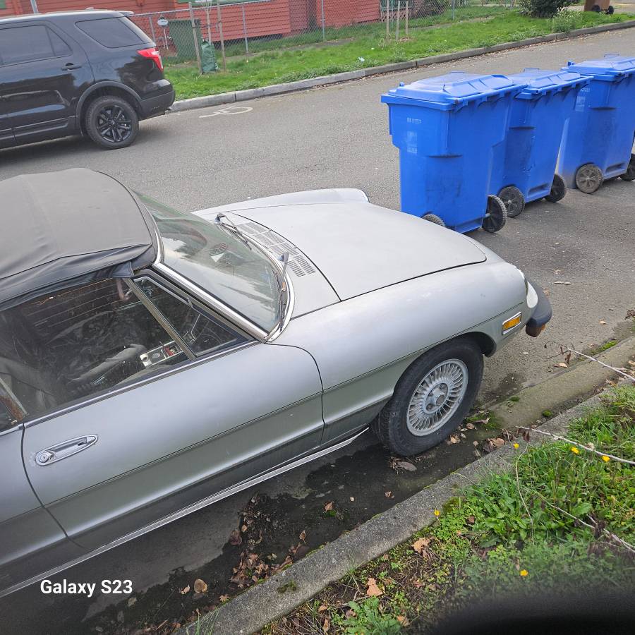 77-alfa-romeo-spider-1977-silver-3
