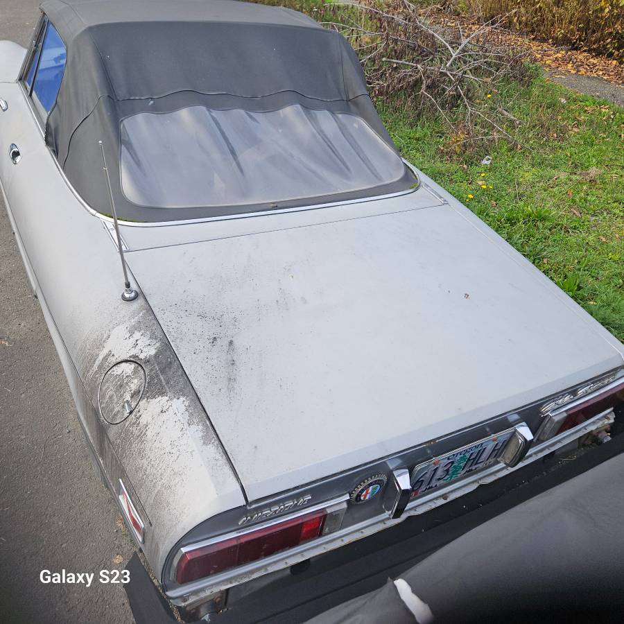 77-alfa-romeo-spider-1977-silver-4