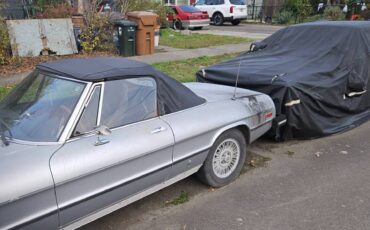 77-alfa-romeo-spider-1977-silver-5