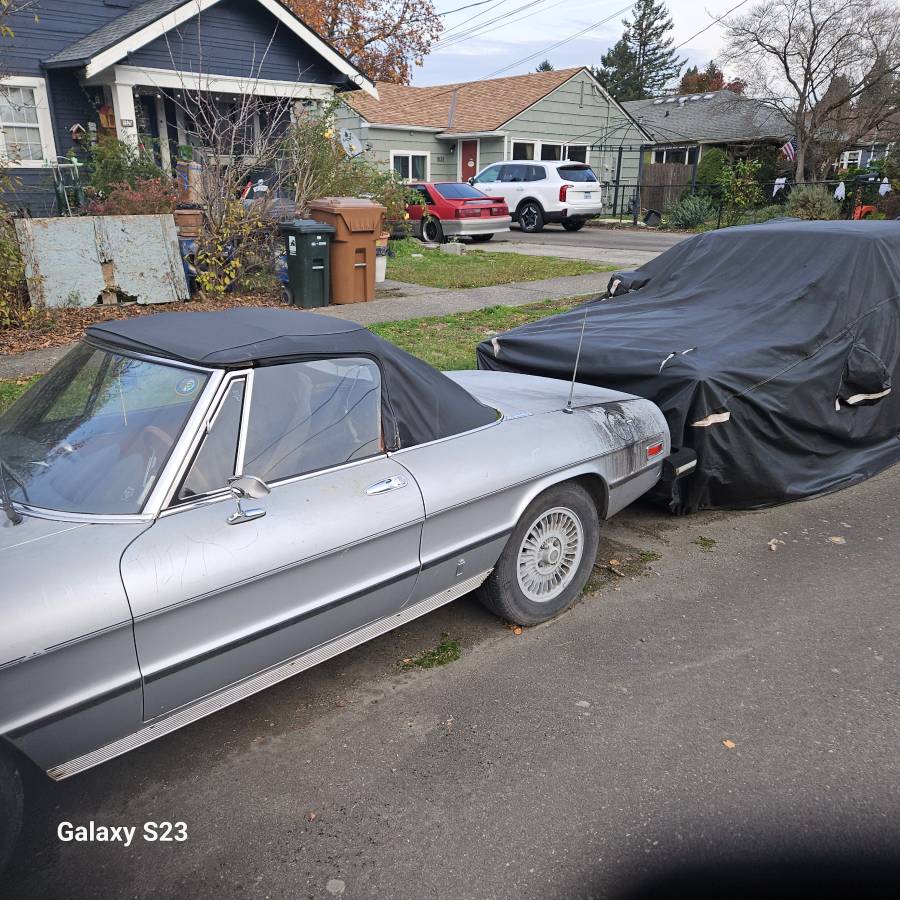 77-alfa-romeo-spider-1977-silver-5