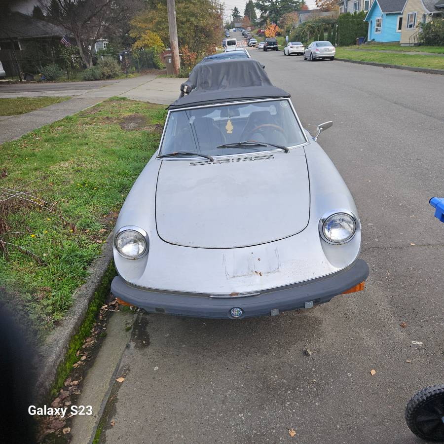 77-alfa-romeo-spider-1977-silver-6