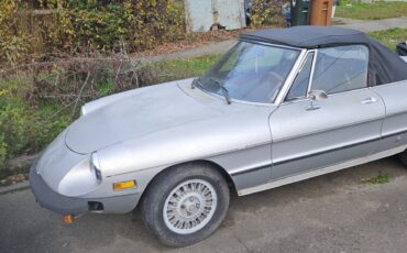 77-alfa-romeo-spider-1977-silver-7