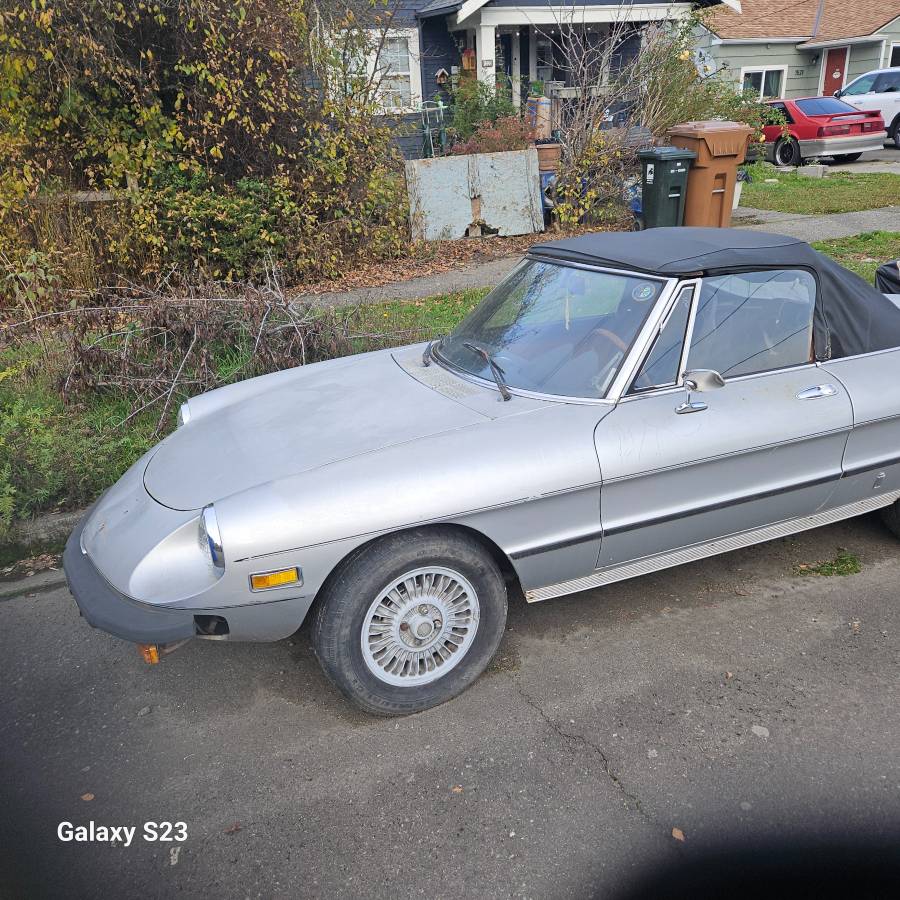 77-alfa-romeo-spider-1977-silver-7