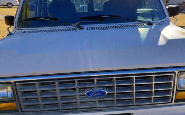 91-ford-e150-5.0-engine-1991-grey-2