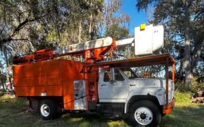 94 ford f-800 diesel 1994