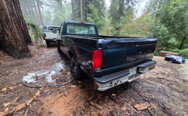 94-ford-f150-1994-2