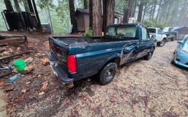 94-ford-f150-1994-3