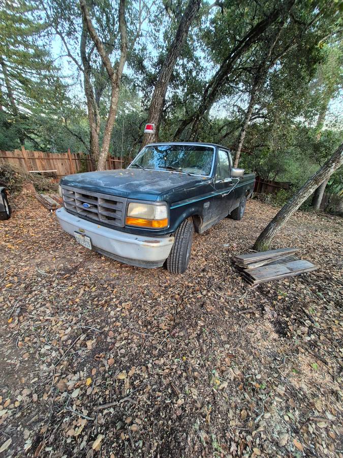 94-ford-f150-1994-3