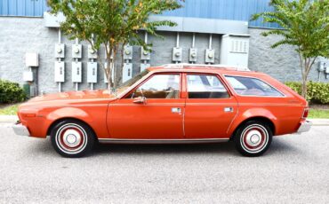 AMC-Hornet-1974-Wagon-1