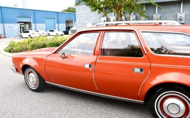 AMC-Hornet-1974-Wagon-10
