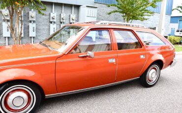 AMC-Hornet-1974-Wagon-11