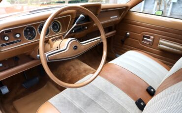 AMC-Hornet-1974-Wagon-15