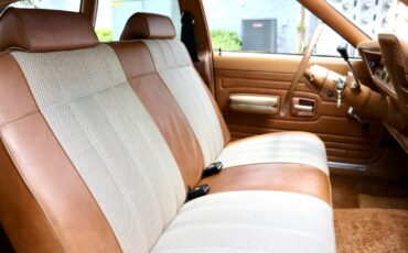 AMC-Hornet-1974-Wagon-19