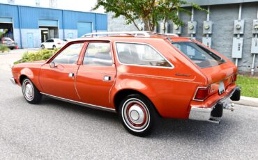 AMC-Hornet-1974-Wagon-2