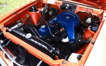 AMC-Hornet-1974-Wagon-23