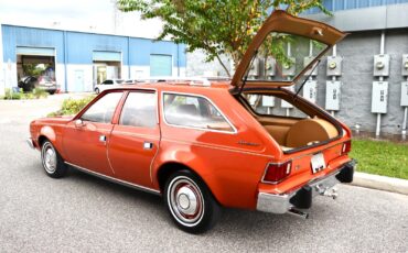 AMC-Hornet-1974-Wagon-26