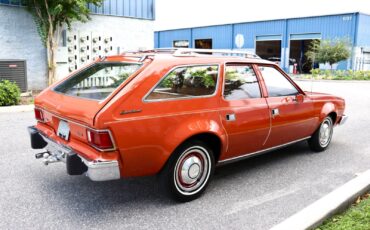 AMC-Hornet-1974-Wagon-3