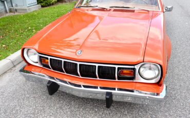 AMC-Hornet-1974-Wagon-6