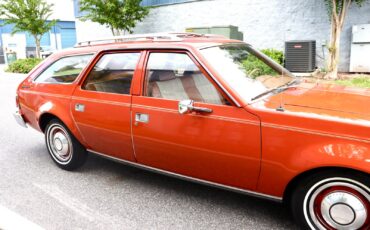 AMC-Hornet-1974-Wagon-7