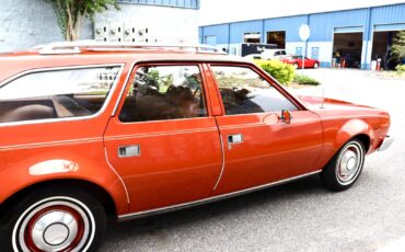 AMC-Hornet-1974-Wagon-8