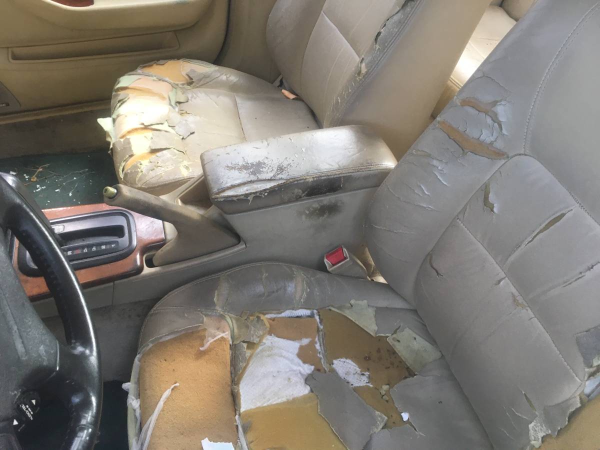 Acura-legend-1992-custom-15