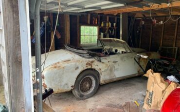 Alfa-Romeo-1900C-1952-5