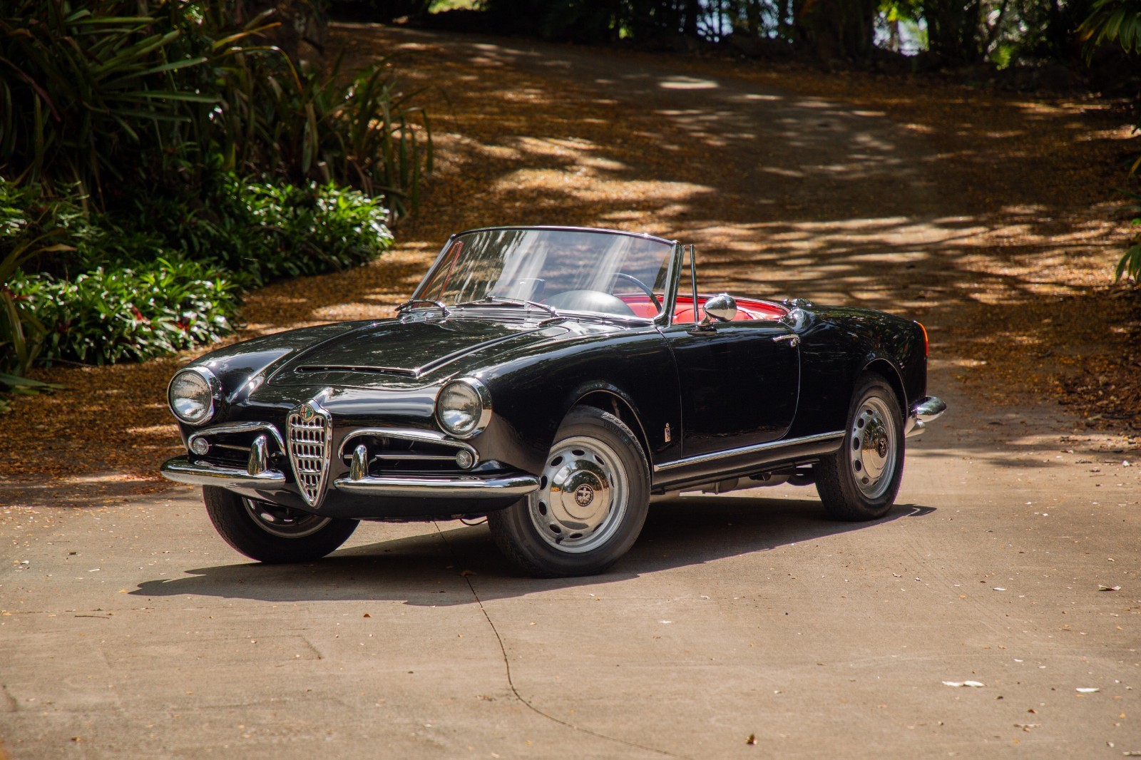 Alfa-Romeo-Giulia-1965-Convertible-1