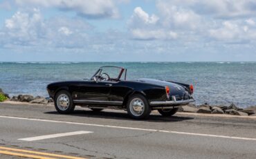 Alfa-Romeo-Giulia-1965-Convertible-12