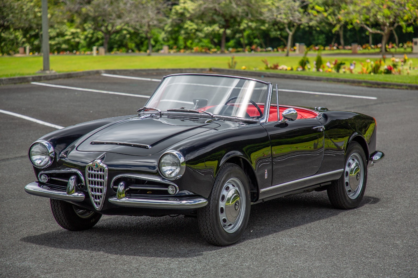 Alfa-Romeo-Giulia-1965-Convertible-15