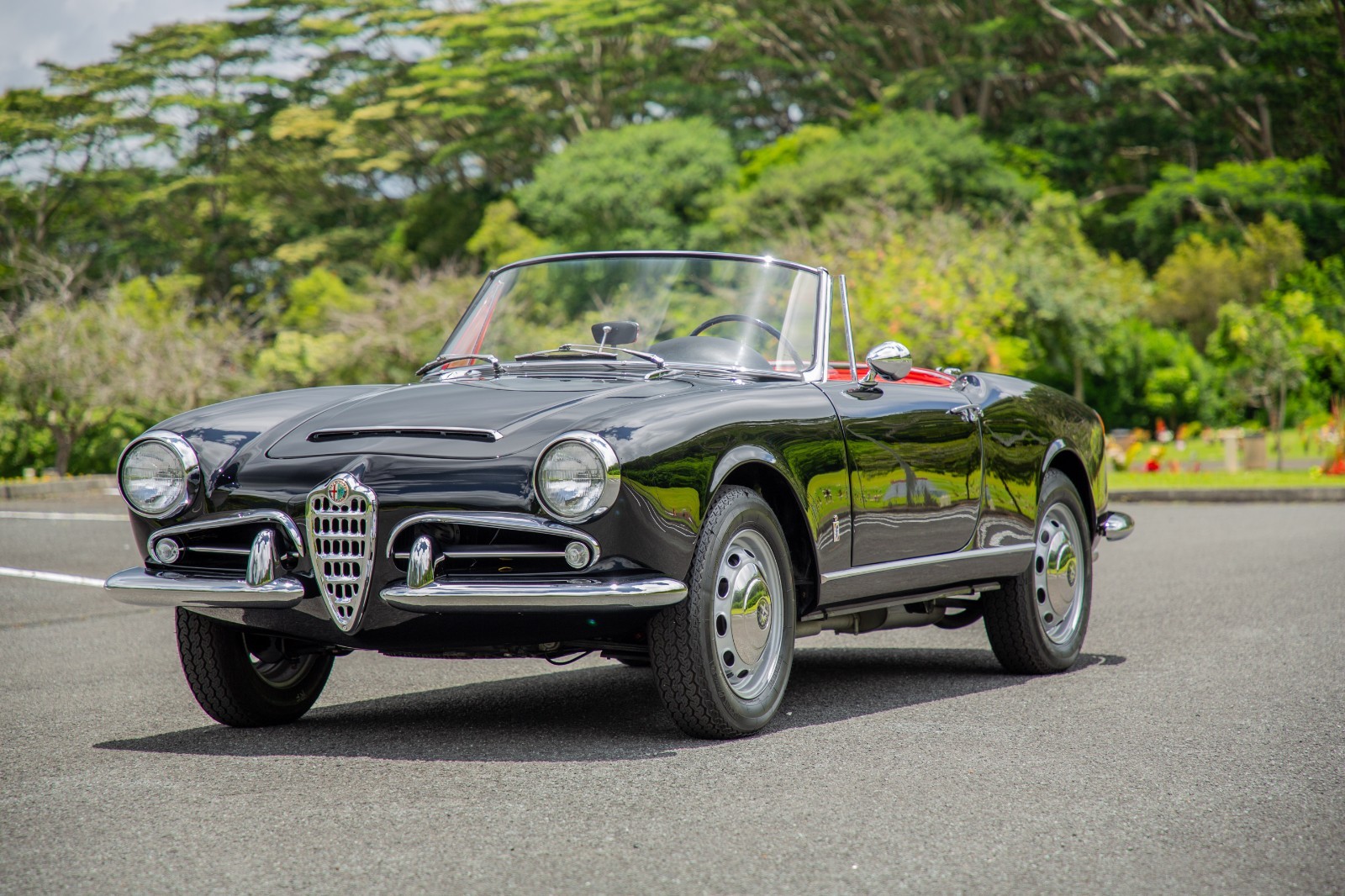 Alfa-Romeo-Giulia-1965-Convertible-16