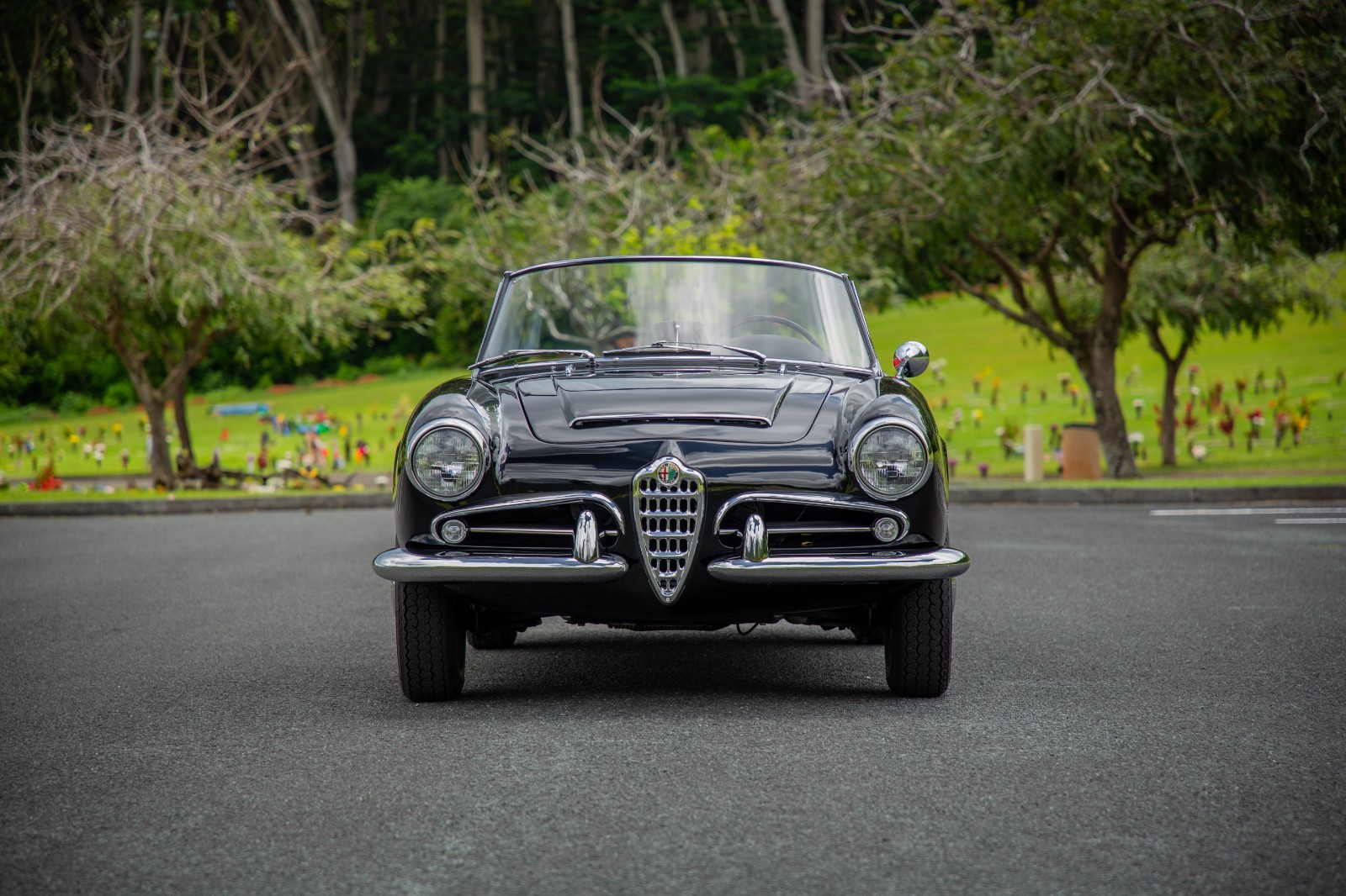 Alfa-Romeo-Giulia-1965-Convertible-17