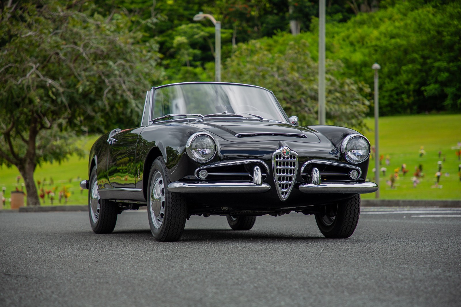 Alfa-Romeo-Giulia-1965-Convertible-18